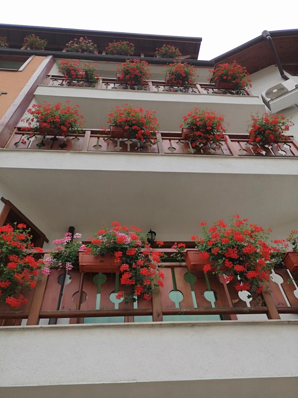 Petroff apartments Bansko Exteriör bild